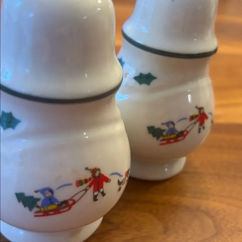 Pfaltzgraff Christmas White Green Salt & Pepper Shaker Set Santa on his sleigh